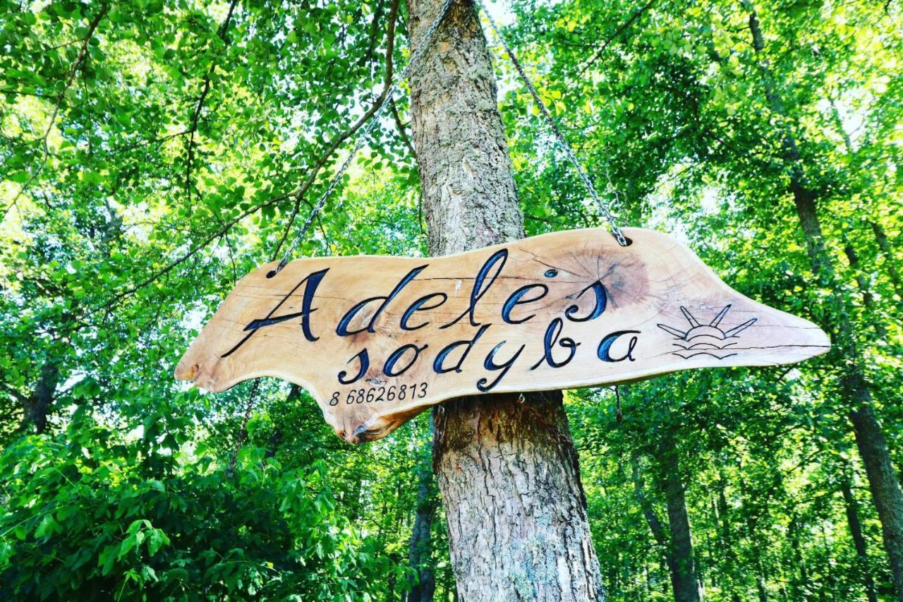 Namelis Nr 1 Adeles Sodyba Sturmai Extérieur photo